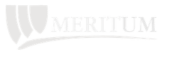 Meritum-partner